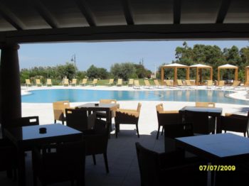 gall_SDC11163 gall_SDC11163